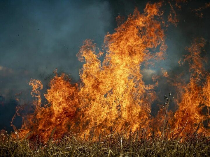 Śląskie: w wyniku wypalania traw zginęła 1 osoba!