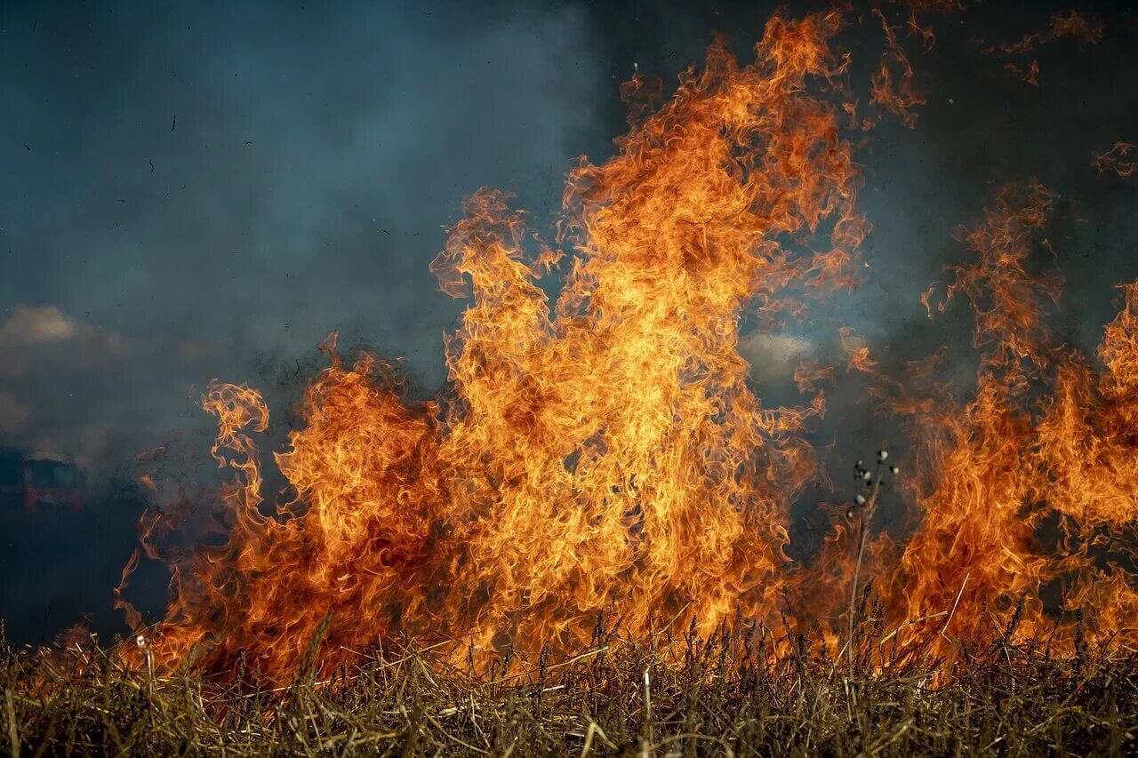 Śląskie: w wyniku wypalania traw zginęła 1 osoba!