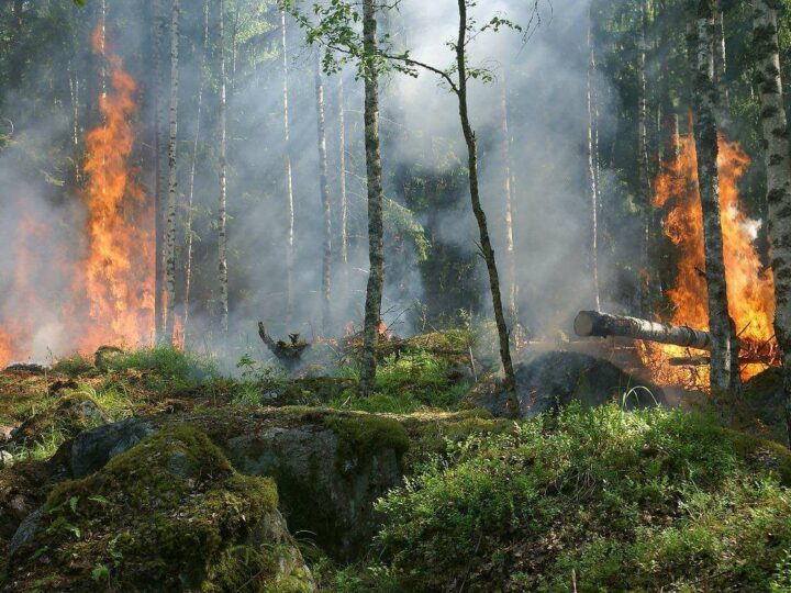 Województwo śląskie walczy z pożarem