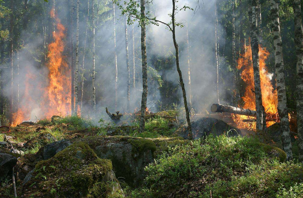 Województwo śląskie walczy z pożarem