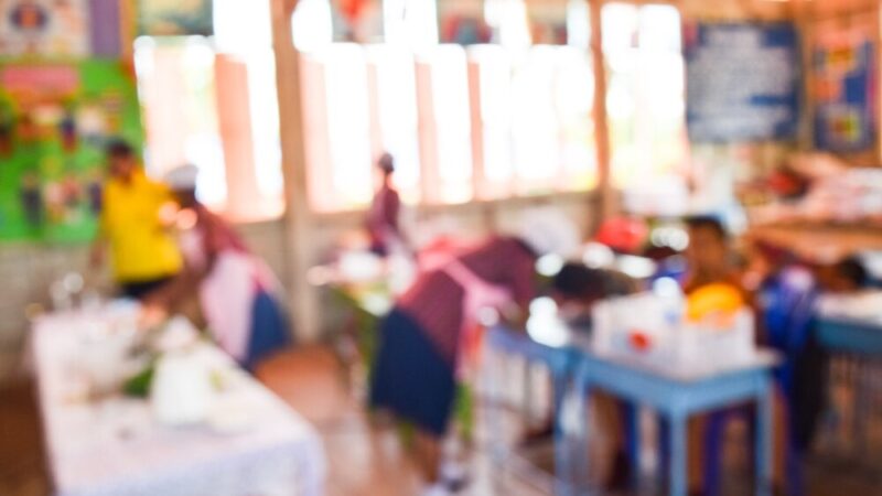 Przyszli weterynarze z Międzyświecia zdobywają doświadczenie podczas płatnych staży w lokalnych firmach