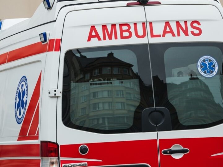 Grzybobranie z głową – kluczowe zasady bezpieczeństwa w lesie