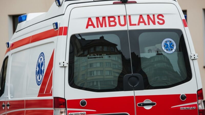 Grzybobranie z głową – kluczowe zasady bezpieczeństwa w lesie